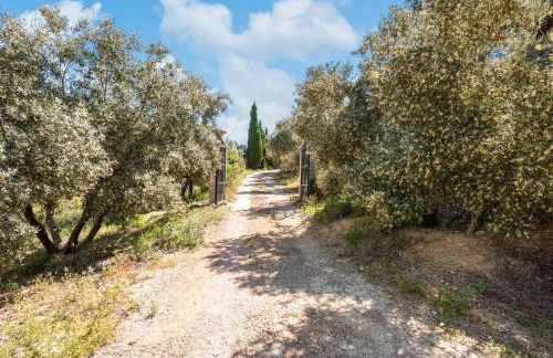 Cortijo Era del Realenguillo - Foto 19