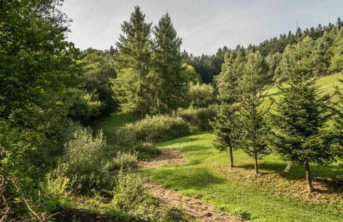 Kałamunka - Foto 77