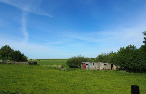 Ferienhaus Große Gaarde - Photo 7