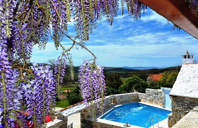 Mari 1 - With Pool - H - Photo 19