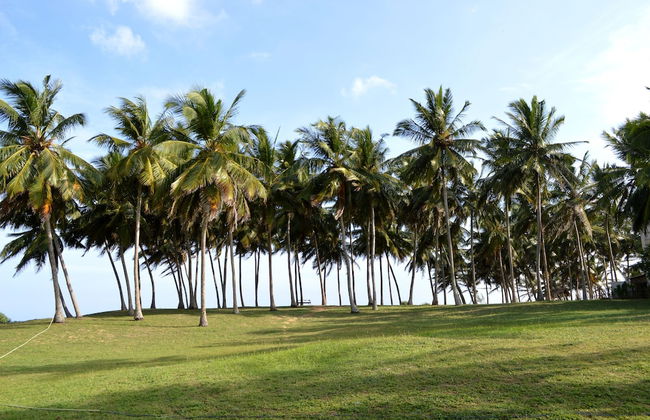 Ocean Cottage Kalametiya - Photo 26