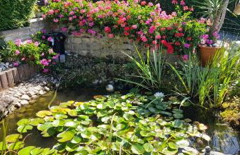 Haus Roßner - Foto 45