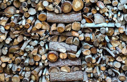 Profumo di Bosco - Photo 3