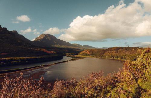 Banyan Harbor Resort - Foto 151