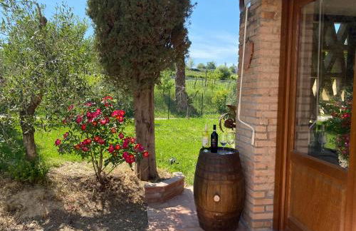 Tenuta Sovestro - Agriturismo e Winery - Photo 98