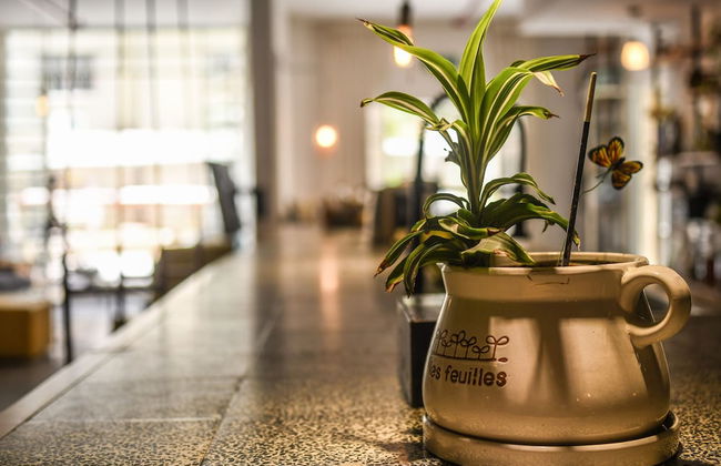 Unique and Spacious 2BR Apt with Terrace - Photo 19