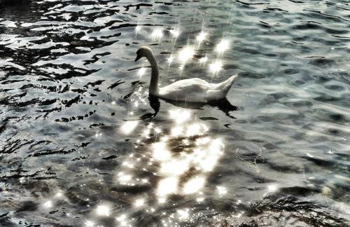 Villa Caterina - Foto 49