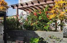 Flat - SERRA E MAR - Paraty - Foto 73