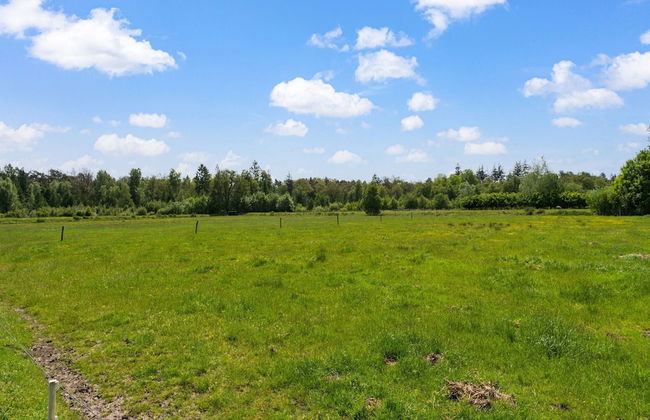 Cottage in Dwingelderveld With Scenic Views - Foto 38