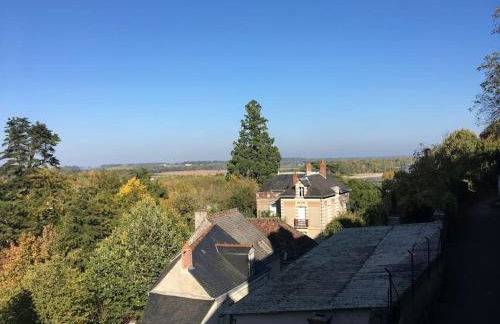 Entre châteaux et vignobles, au bord de la Loire - Foto 25