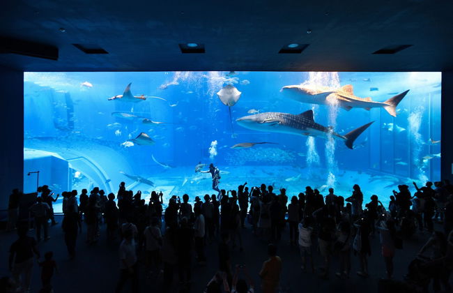 Costa Bella Condominiun Resort - Foto 61