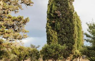 Agriturismo Villa Coluccia - Foto 26