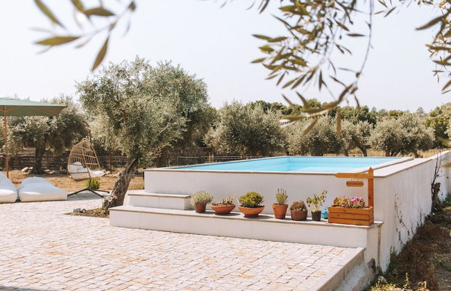 Chão do Ribeirinho - Photo 37