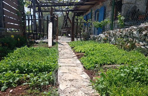 Casa Delle Olive - Foto 4