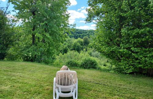 Maison plain pied intérieur bois - Lac de chalain - Gîte les 4 saisons - Foto 8