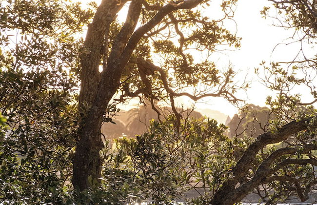 Bow Street Studios - Foto 41