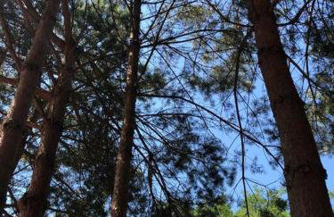 Siedlisko Musialove nad jeziorem 8 osob - Foto 20