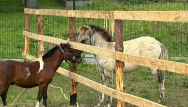 Chata kociewska - Foto 3