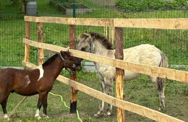 Chata kociewska - Foto 6