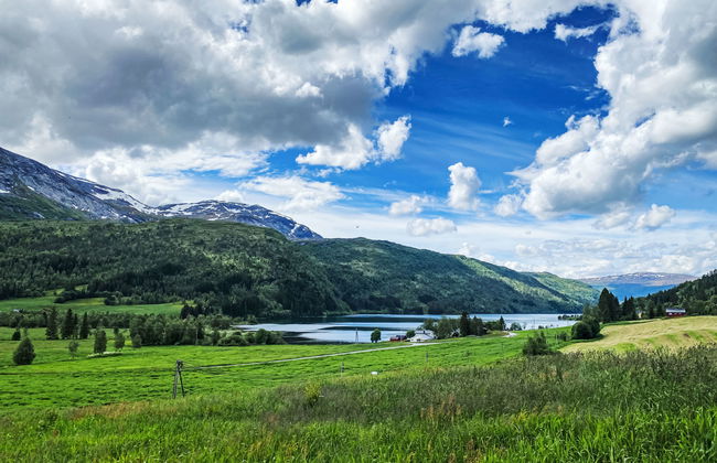 Haukedalspanorama - Foto 29