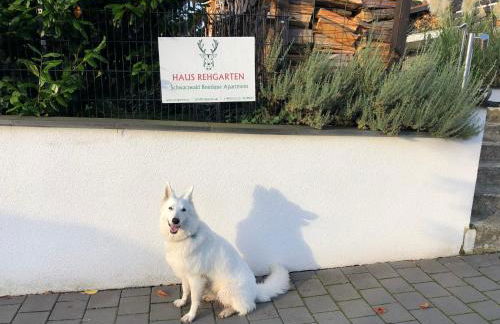 Schwarzwald Boutique-Apartment HAUS REHGARTEN - Foto 57