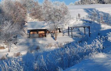 Domki na Kaszubach - Chabry i Rumianki - Roztoka, Przywidz - Basen Sauna Jacuzzi KASZUBY - Foto 3