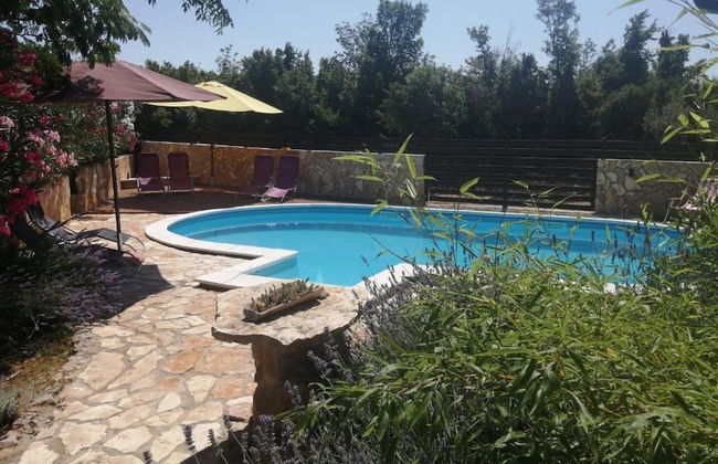 Sunny Pool Apartments - One Bedroom Apartment - Foto 12