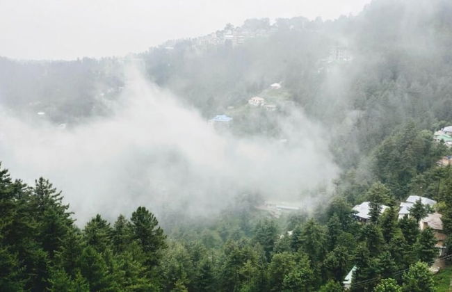 Bellevue Luxury Apartments - Photo 14