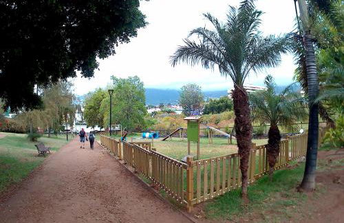 Estudio brillante, confortable y agradable - Foto 32