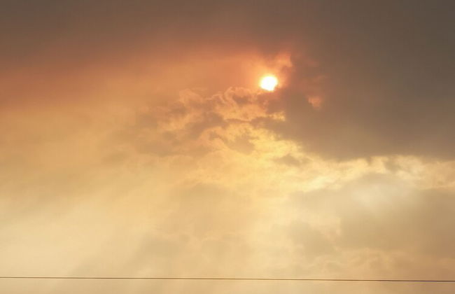 Country House in the Su Gologone Area 30 km From Cala Gonone 5 km From Oliena - Photo 78