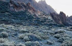 Cosy flat with sea view, pool and terrace in Altamira-complex in Costa Adeje - Playa del Duque - Foto 46