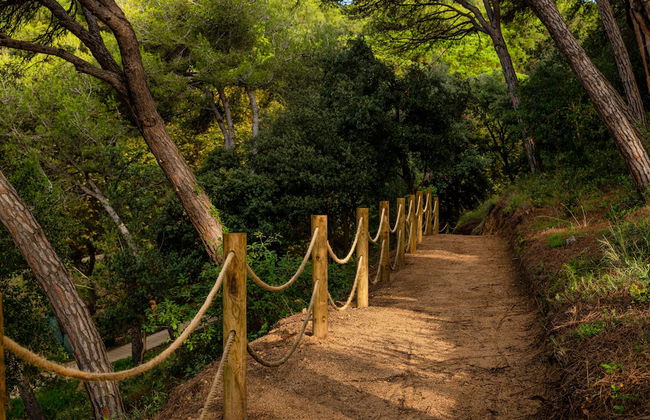 Albamar Apartaments - Foto 21