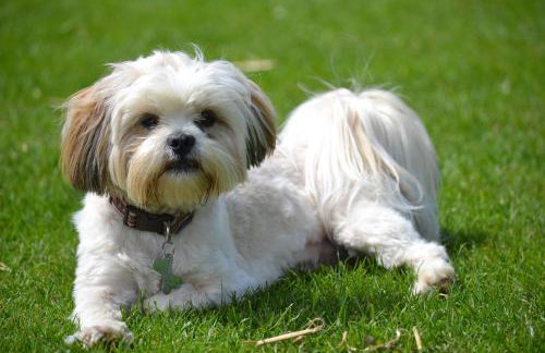 Rocklands Lodges - Foto 38