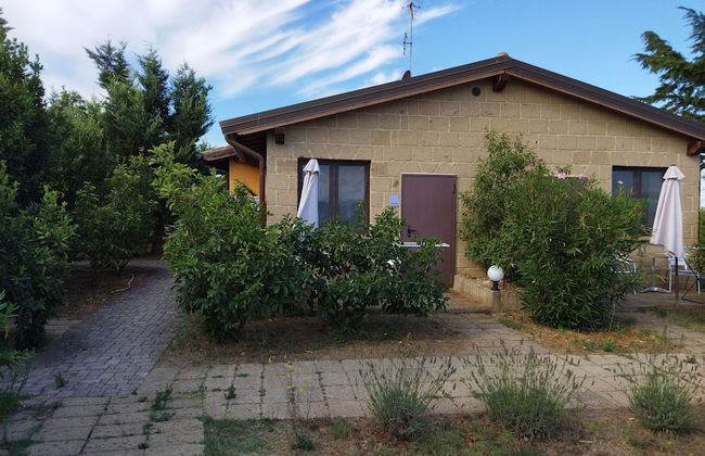 Azienda Agrituristica Le Betulle - Foto 58