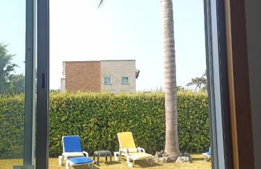 Casa do Sol - Entre o Mar e o Pinhal - Foto 23