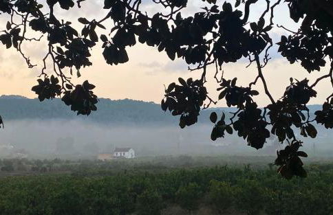 Rustic charm, Olivo Suite with private bathroom and unique views - Foto 17