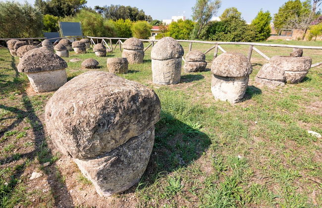Casale Teresa in Tarquinia - Foto 33