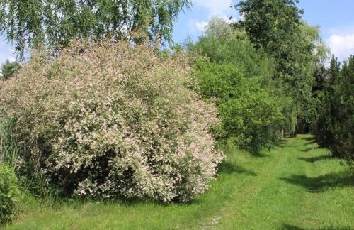 Domek w NABO - Foto 24