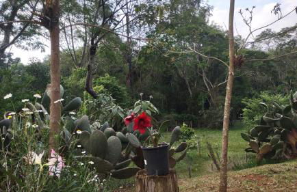 Casa de Campo Refúgio Jaguary - Foto 34