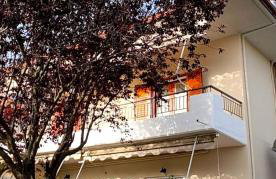 Eleocharis near Amfilochia & Amvrakikos Gulf - Foto 43