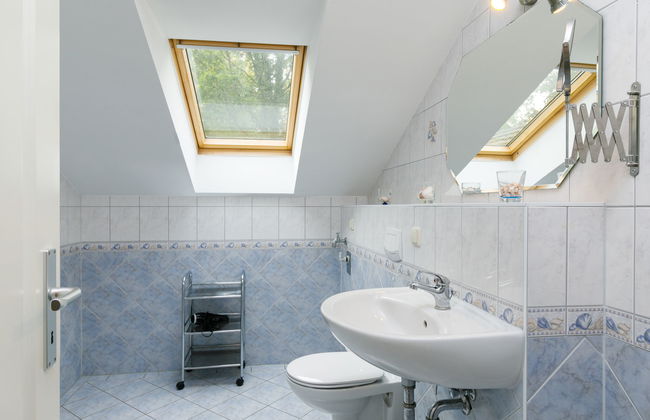 Zaunkönig - Foto 20