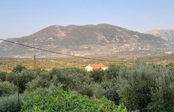 Toulatos Pantelis - Photo 50