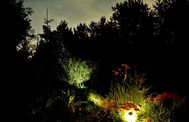 Dom letni Słoneczny Taras - Foto 11