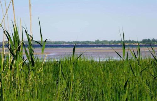 Moderne Ferienwohnung in Kluetz in Strandnahe - Foto 74