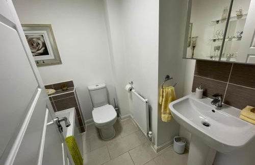 Comet place - Photo 15