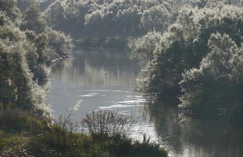 Monte D´Sancho - Foto 15