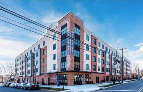 Opulence in Olive 4 bedrooms, 4 baths with 10 beds, Park 2 cars FREE - Foto 33