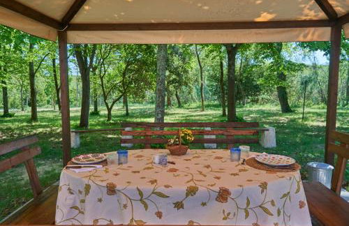 Casarossa, la casa del cuore - Foto 36