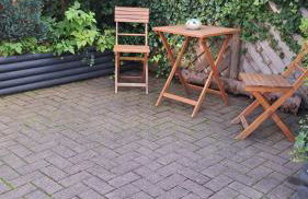 Ferienwohnung Friedrichsruh - Foto 5