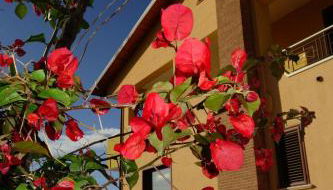 casa vacanze, via delle margherite 3 - Foto 4